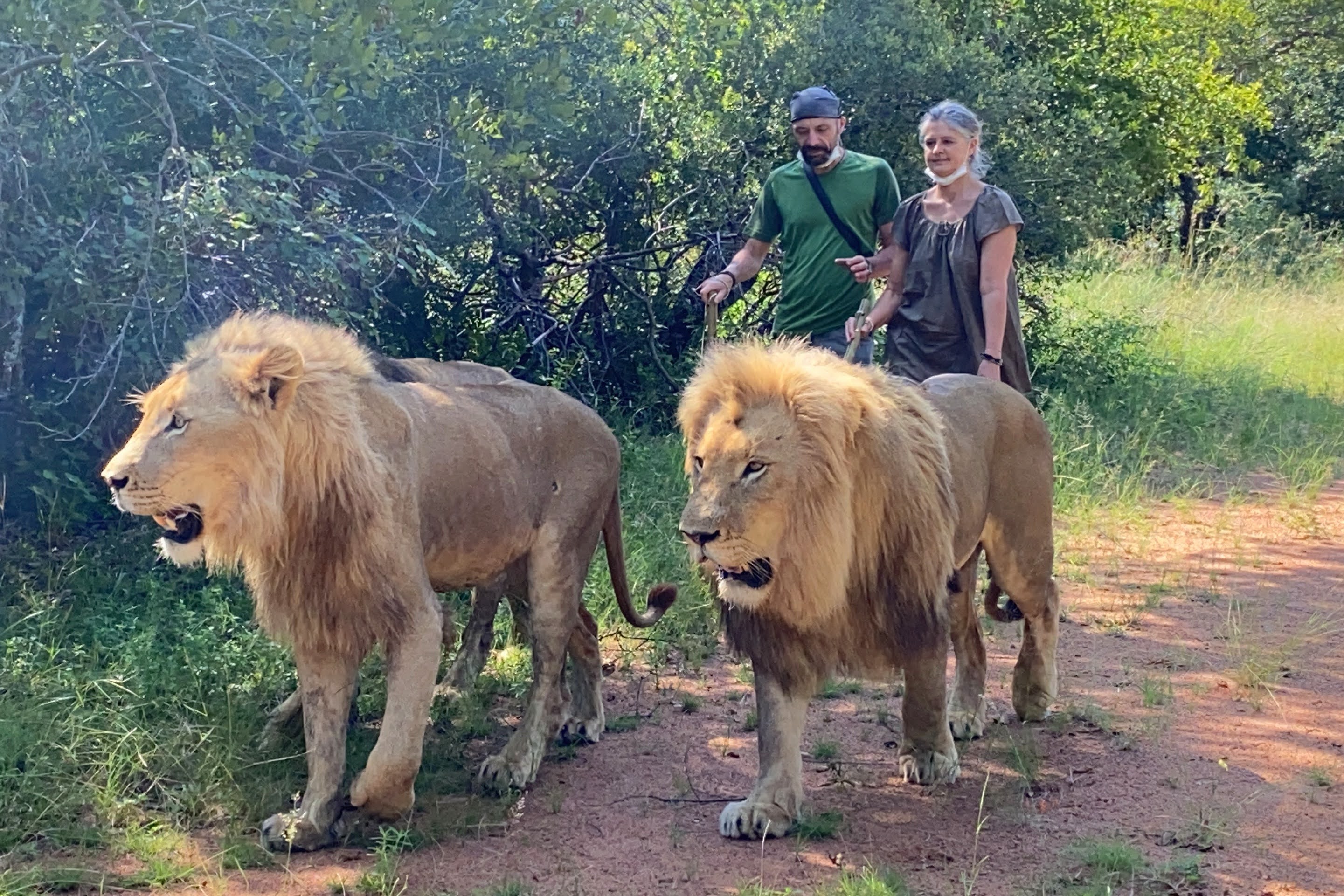 Isa et Manu avec des lions